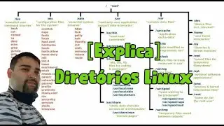 Explica Diretórios Linux