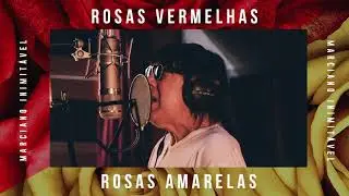 Marciano - Rosas Vermelhas Rosas Amarelas | Áudio Oficial