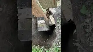 Crooked Fence Post Repair