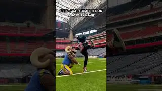 we literally cannot miss 🎯 #houston #texans #losangeles #rams #nfl #fieldgoal