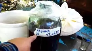 СЛИВАЕМ СУСЛО с ОСАДКА из ВИНОГРАДА АЛЬФА