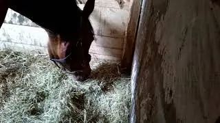 Сено едим