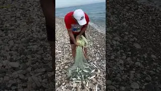 Tek atışta av bitti