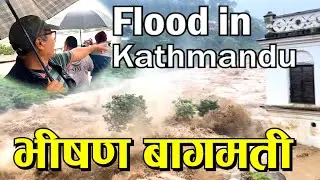 डुबानमा काठमाण्डौ । बाग्मतीको बितण्डा Floods in Kathmandu