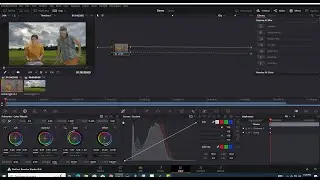 Davinci Resolve Nodes(Outside node)