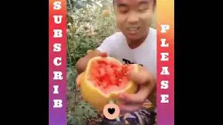 EXAMPLE,satisfying,creation,Oddly Satisfying Video that Makes You Feel Comfort Before Sleep