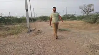 Nasarey manasulayo 