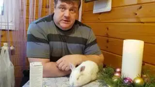 Заболел крольчонок МИКСОМАТОЗ или КОНЪЮНКТИВИТ?