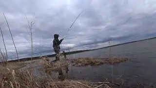 РЫБАЛКА НА ПОПЛАВОК В АПРЕЛЕ