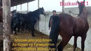 Н Рудаки Молбозор Ва Аспбозор
