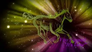Vito Fognini - It Is Love