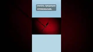 Что такое Эйдос?