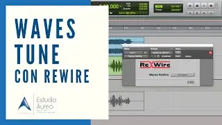 Cómo usar Waves Tune con Rewire en Pro Tools