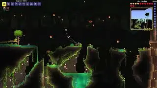 How to get Turtle Shell material - Terraria 1.4