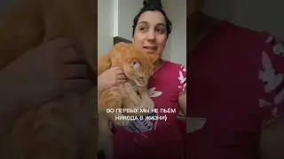 🐈ПОТРАТИЛИ ВСЕ ДЕНЬГИ| а ты  куда тратишь ? 