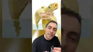 SE SEI IMPRESSIONABILE SKIPPA QUESTO VIDEO, ECCO PERCHE' DOVRESTI FARE ATTENZIONE ALLE BANANE !