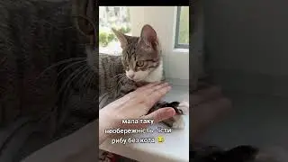 😂