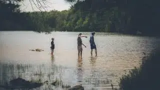 Forest Moments