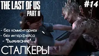 The Last Of Us 2 - #14 В Поисках Норы - [БЕЗ КОММЕНТАРИЕВ] - [БЕЗ ИНТЕРФЕЙСА]-[