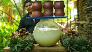 Ginger Pineapple Today | Traditional Pineapple Ginger Mixed Today |