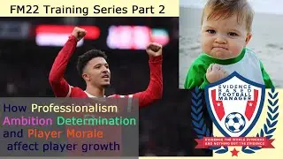 Professionalism, Ambition, Determination, Player Morale and player growth - Evidence Based FM