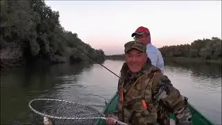 Бакланье. Обзор: проживание, питание и т.д.