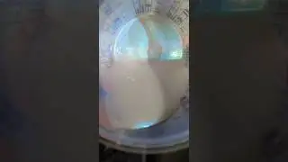19 октября 2023 г.