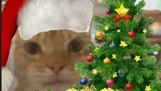 на коленке нацарапанное поздравление с новым годом🎄 (телега в шапке профиля🙌🏻🎉)