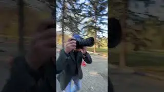 Некоглай тик ток 