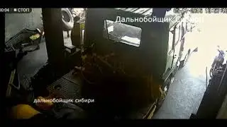 Zrif