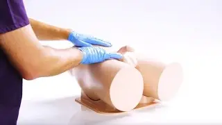 Male genitalia examination