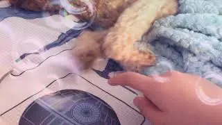 Tickle Tickle