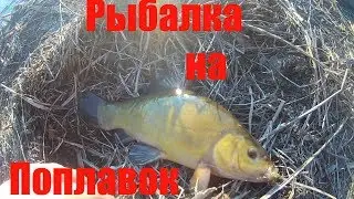 Ловля на поплавок  Ловим Линя и Крупного Карася