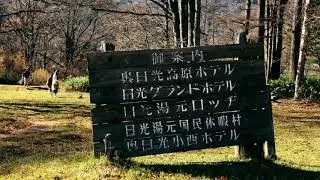 Природа Японии:  Заповедный парк Никко - Япония без комментариев