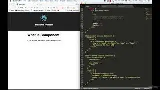 [React js]  Components   State and Stateless