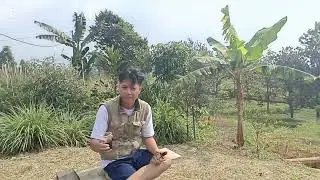 damar 3 pondok halimun