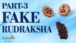 Identify Fake Rudraksha - Part 3 | Rudralife
