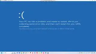 Google Translate has BSOD VM