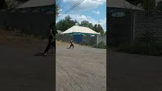 Дом 1895 года