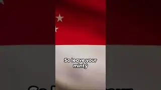 what not to do when visiting Singapore
