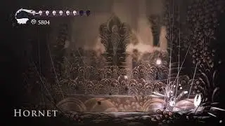 Beating Hornet until Hollow Knight: Silksong comes out.Day 807.