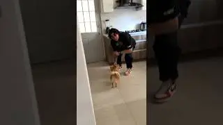 NO ES LO QUE PARECE...