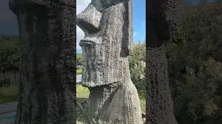 бабочка с острова Пасхи