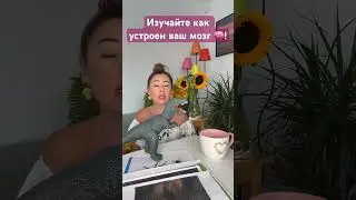 #познатьсебя #мозгчеловека #консультацияонлайн #инстинктсвободы #целостность