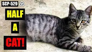 SCP-529 Josie the Half-Cat - The Anomalous Feline with a Missing Half