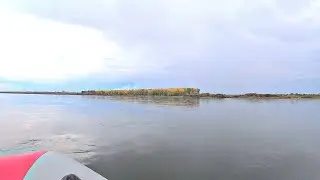 Ждал я ЭТУ ОСЕНЬ и ДОЖДАЛСЯ!!! Рыбалка осенью когда ЖОР РЫБЫ...
