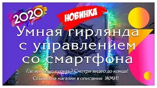 УМНАЯ ГИРЛЯНДА ТВИНКЛИ В 2020 ГОДУ