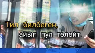 "Тил билбесең, айып пул төлөйсүн". Орусиянын мигранттар боюнча сунушу.