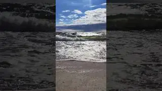 Поваровка. Калининградская область. 13.07.2024г.