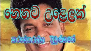 Nethata ulelak with lyrics l නෙතට උළෙලක් l karunarathna diulgane